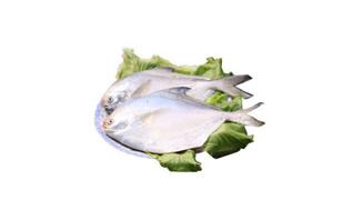鯧魚