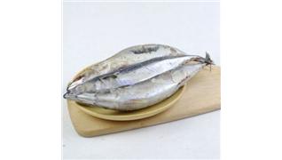 青占魚